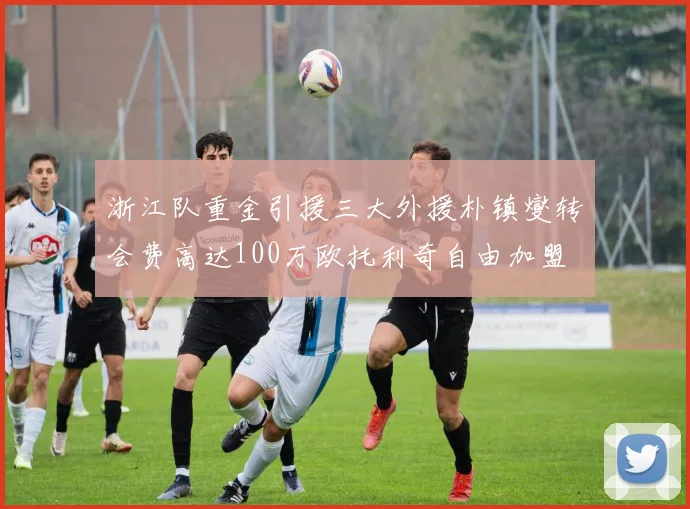 浙江队重金引援三大外援朴镇燮转会费高达100万欧托利奇自由加盟