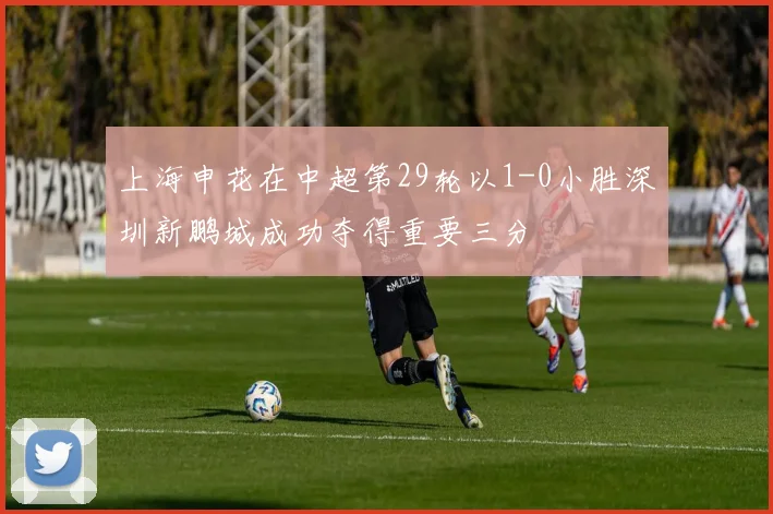 上海申花在中超第29轮以1-0小胜深圳新鹏城成功夺得重要三分