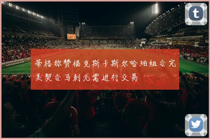 蒂格称赞福克斯卡斯尔哈珀组合完美契合马刺无需进行交易