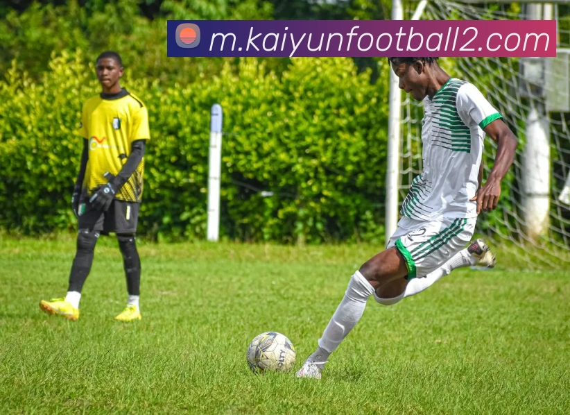 开云足球平台生态图