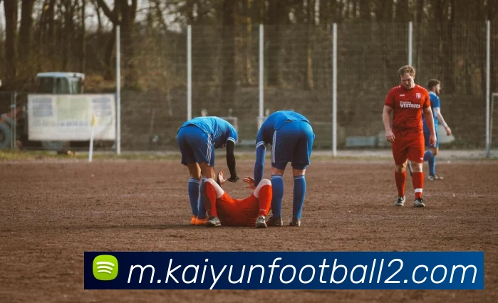 开云足球APP 封面图